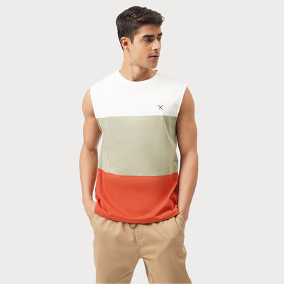 Regular Fit Round Neck T-Shirt With Contrast Panels
