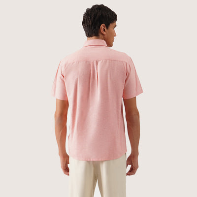 979500-Peach (2).jpg