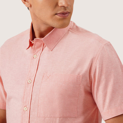 979500-Peach (4).jpg
