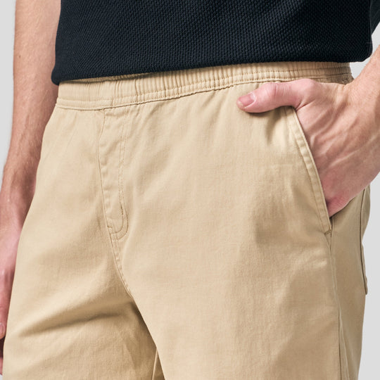 Regular Fit Pull Up Shorts