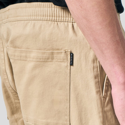 Regular Fit Pull Up Shorts