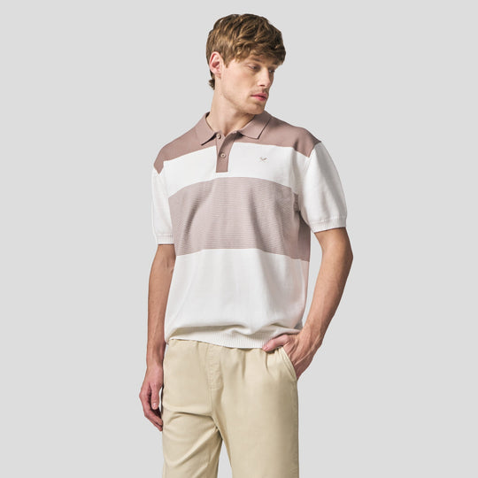 Regular Fit Color-Block Polo Shirt In Flat Knit