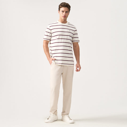Regular Fit Striped T-Shirt In Brushed Heavy Jersey