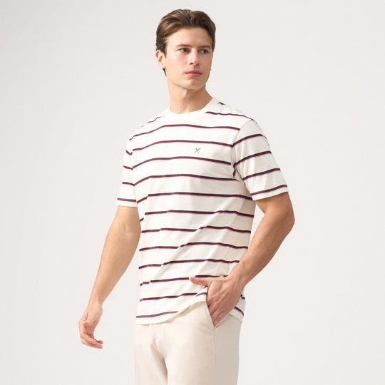 Regular Fit Striped T-Shirt In Brushed Heavy Jersey