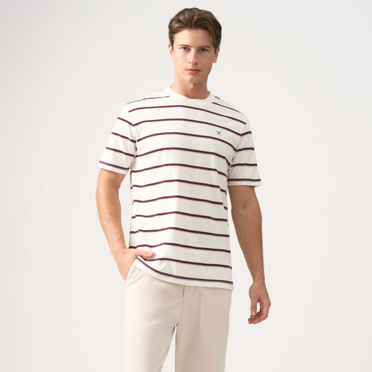 Regular Fit Striped T-Shirt In Brushed Heavy Jersey