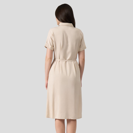 Button Down Dress