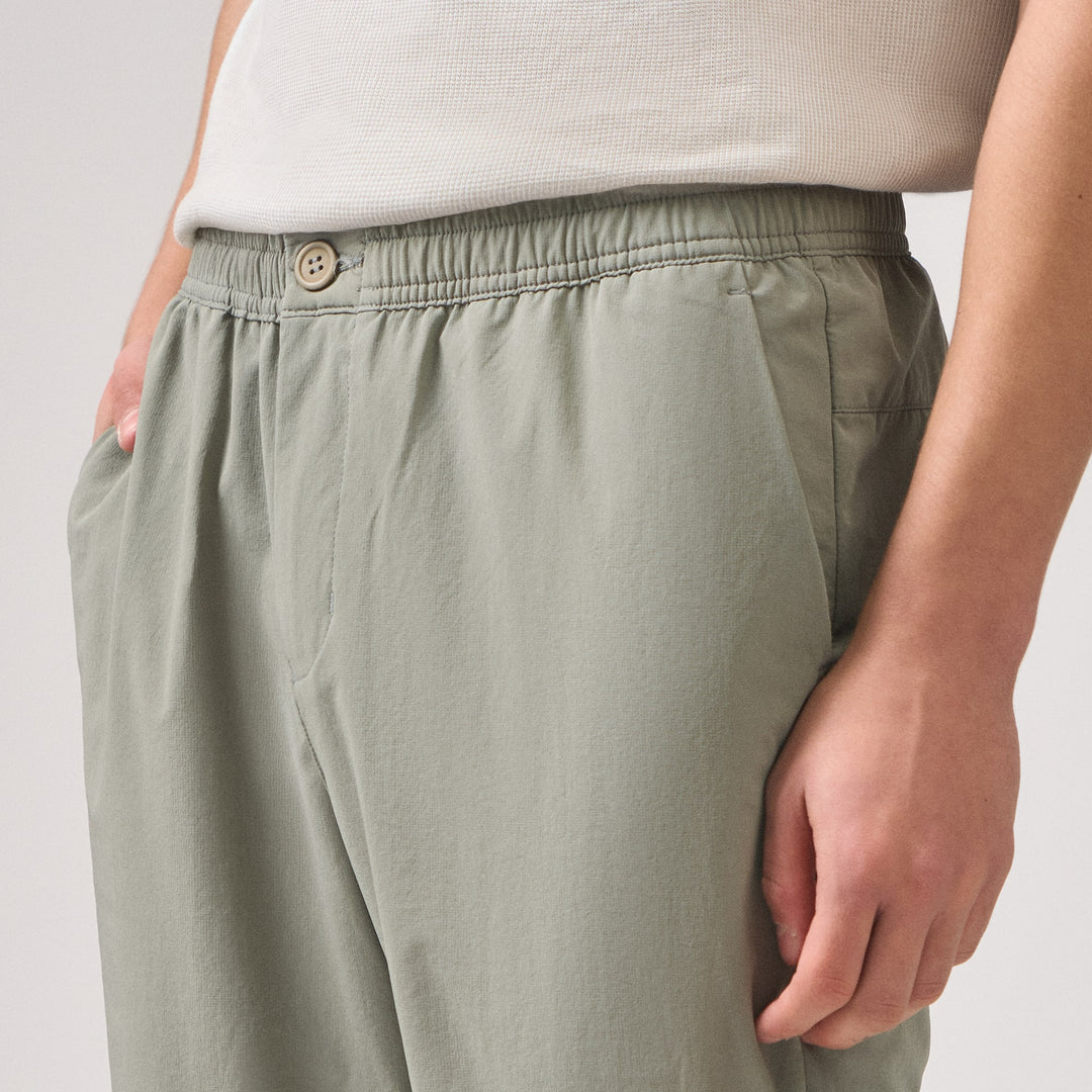 991574-Olive (4).jpg
