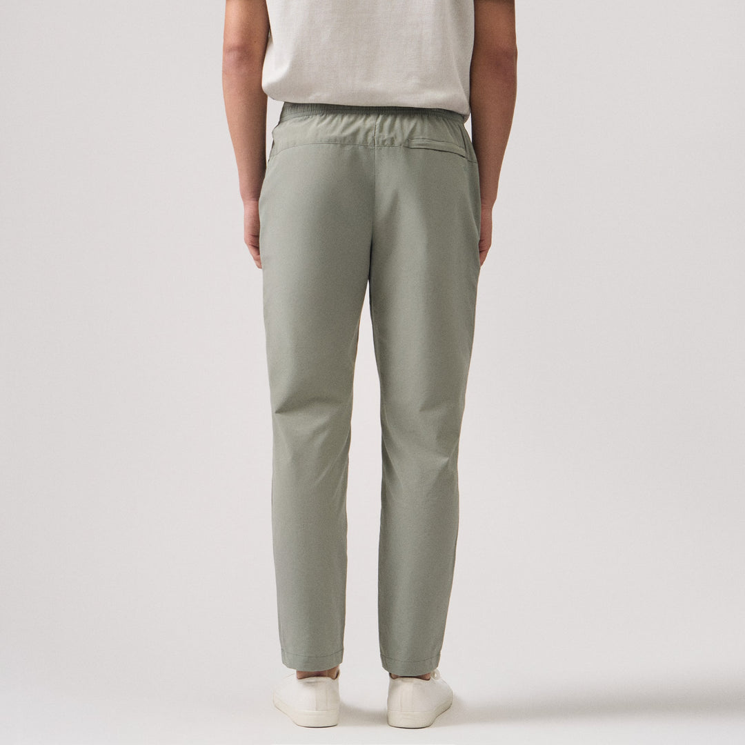 991574-Olive (5).jpg