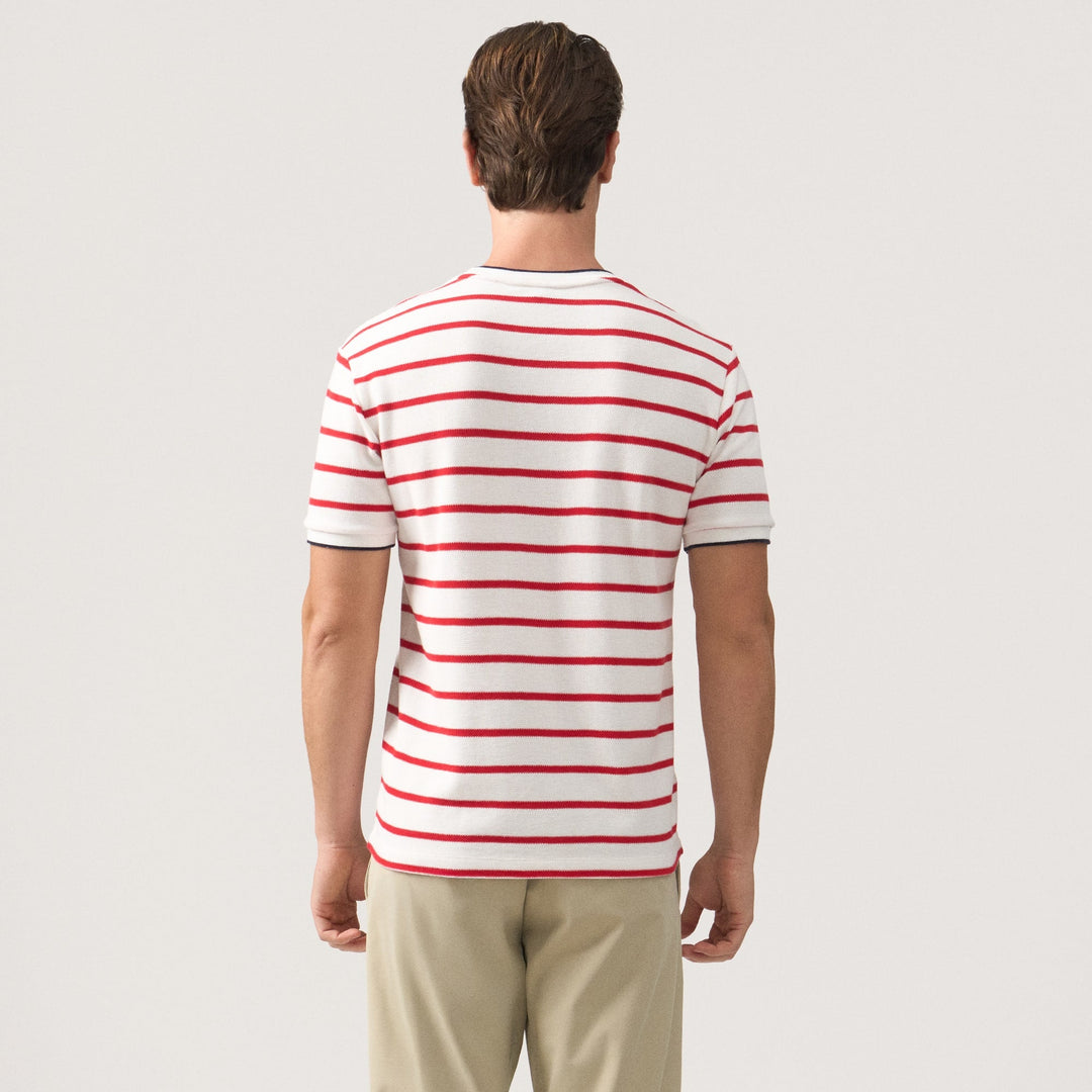 Regular Fit Striped T-Shirt With Contrast Tipping Detail In Honeycomb Pique