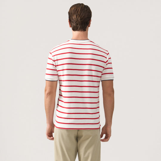 Regular Fit Striped T-Shirt With Contrast Tipping Detail In Honeycomb Pique