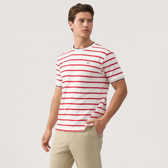 Regular Fit Striped T-Shirt With Contrast Tipping Detail In Honeycomb Pique
