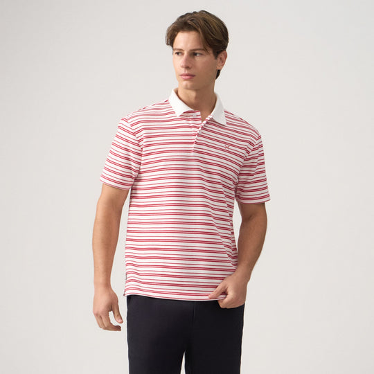 Regular Fit Striped Polo Shirt In Honeycomb Pique