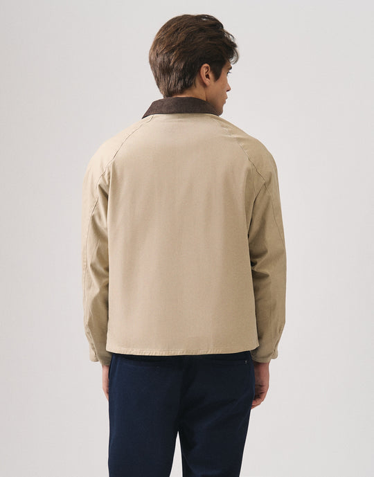 992129-Taupe (6).jpg