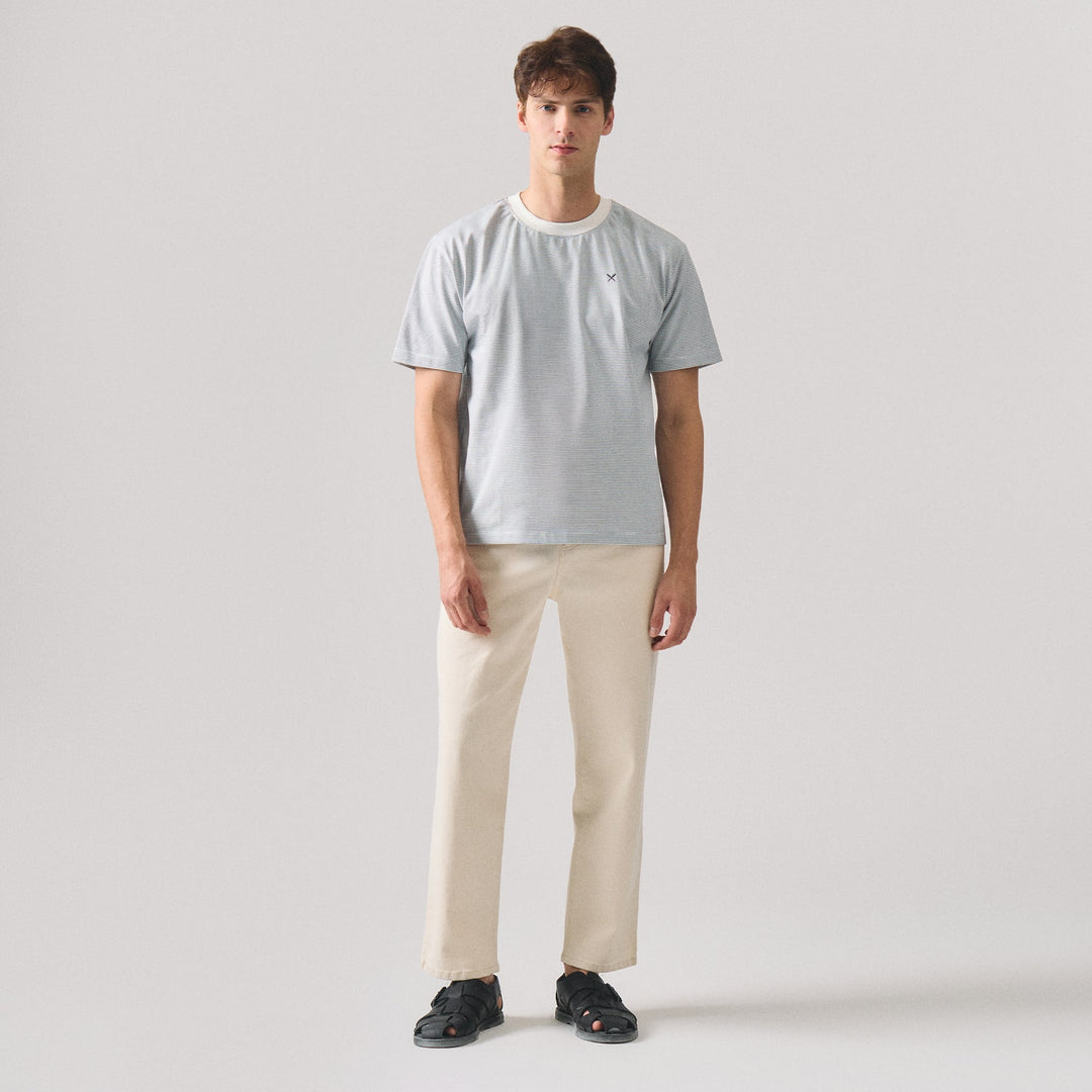 Regular Fit T-Shirt With Micro Stripes
