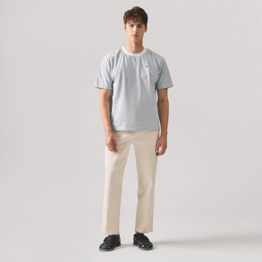Regular Fit T-Shirt With Micro Stripes