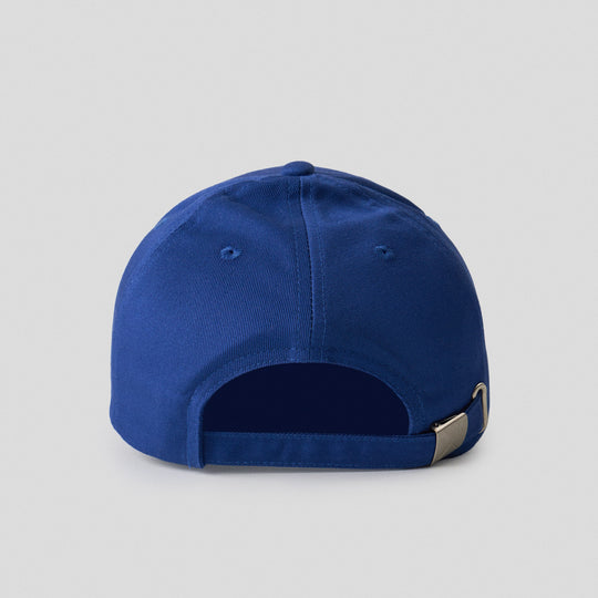 993927-Cobalt Blue (1).jpg