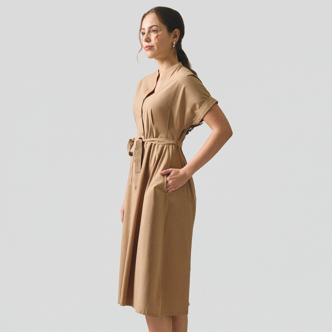 994921-Camel (1).jpg