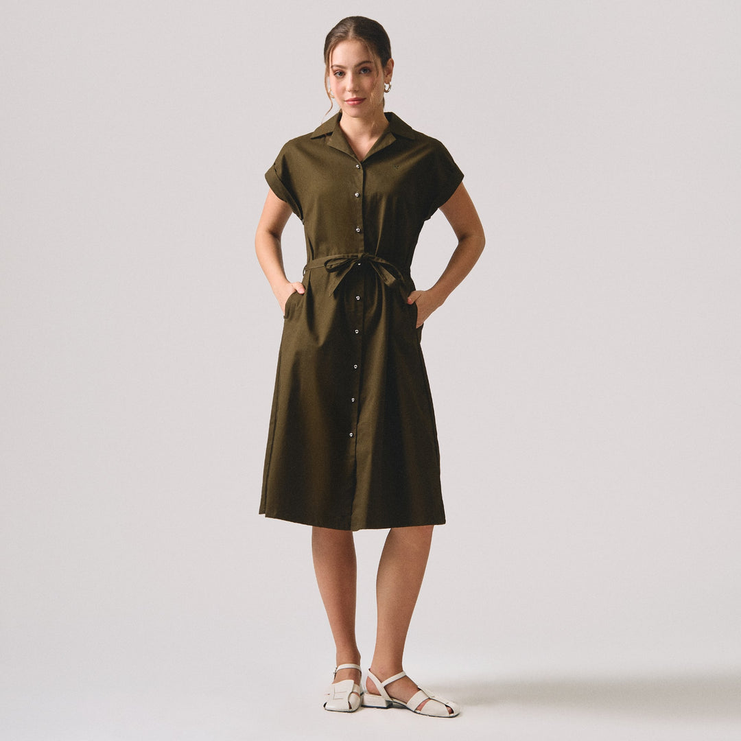 994927-Olive (1).jpg