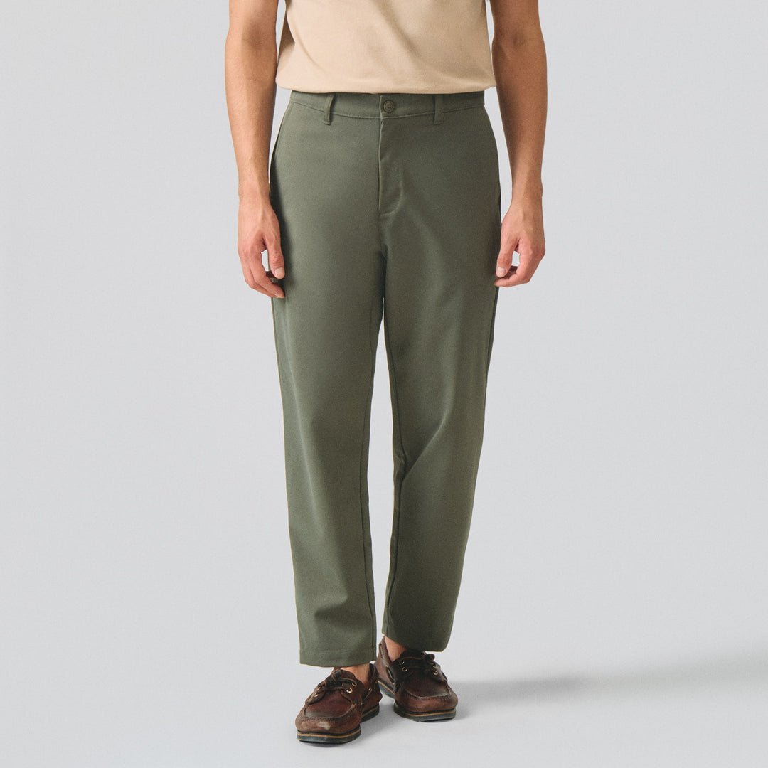 994951-Olive (1).jpg