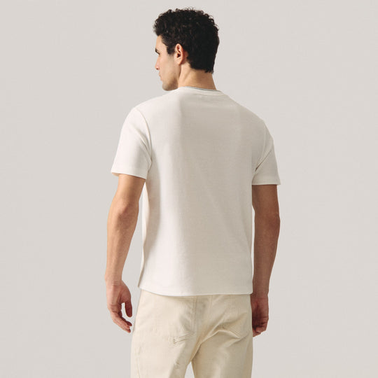 Regular Fit Tipped T-Shirt With Striped Neck Rib