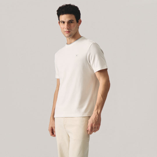 Regular Fit Tipped T-Shirt With Striped Neck Rib