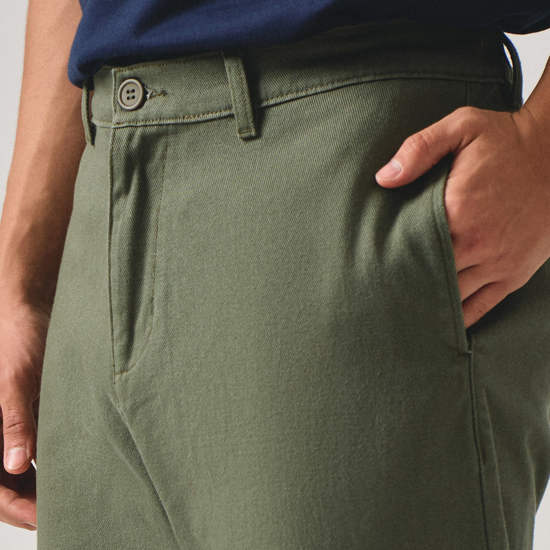 996108-Olive (1).jpg