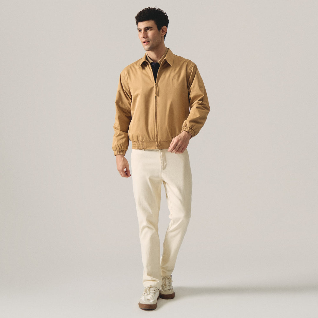997110-Camel (1).jpg