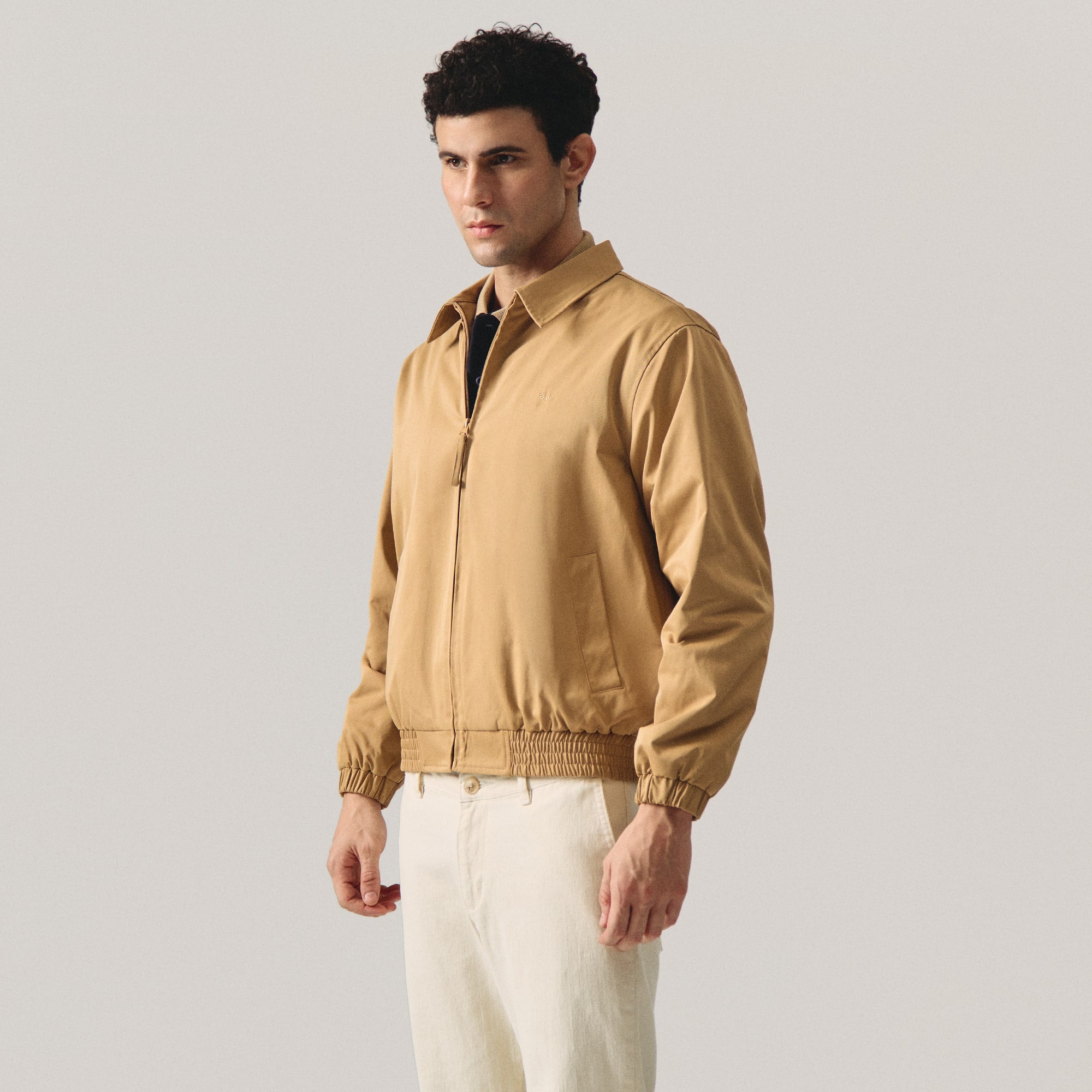 997110-Camel (2).jpg