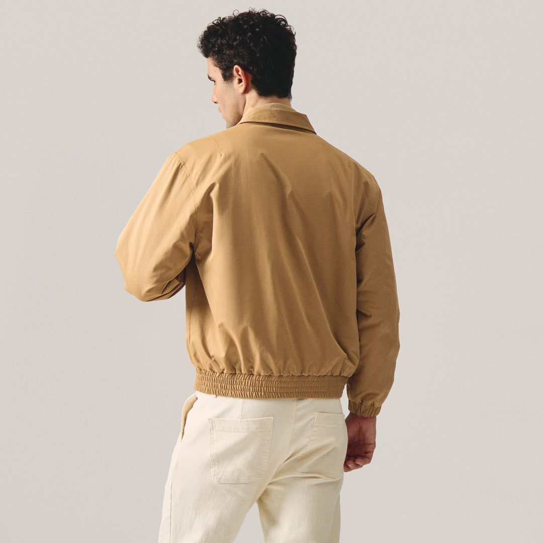 997110-Camel (4).jpg