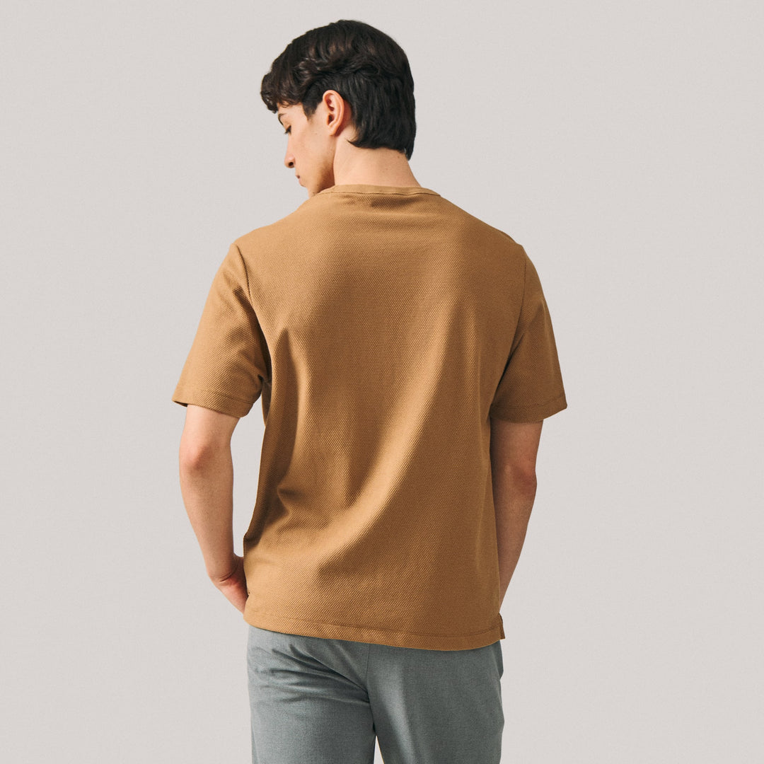 998421-Camel (1).jpg
