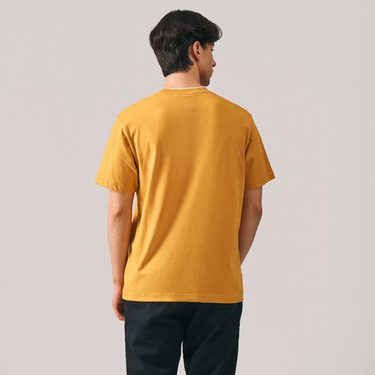 999312-Mustard (2).jpg