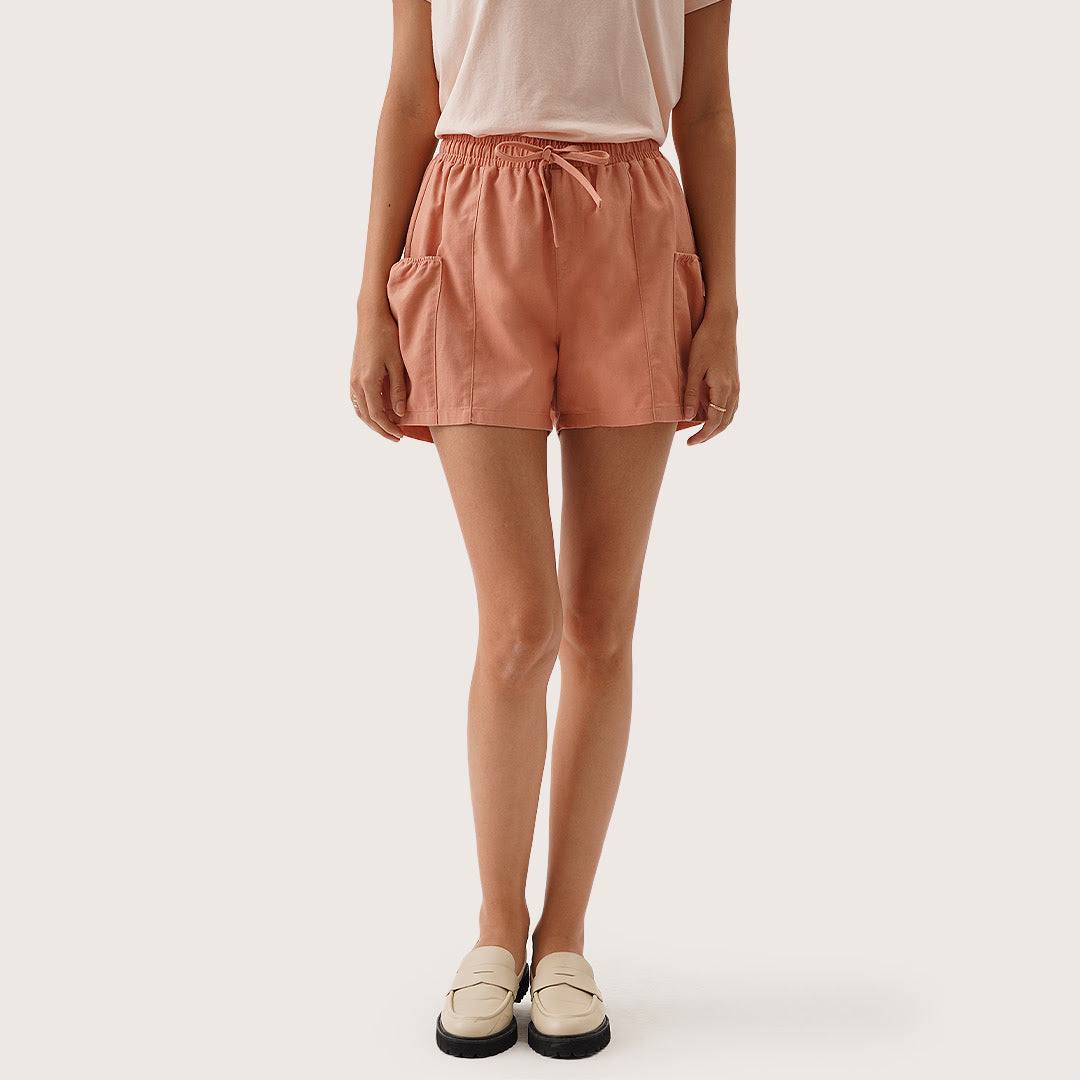 967667-Salmon (1).jpg